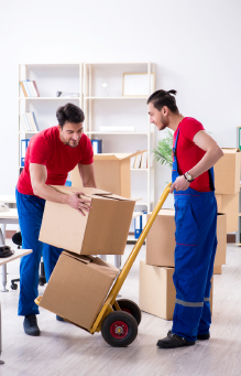 Newsletters | Texcel