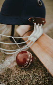 Newsletters | Texcel