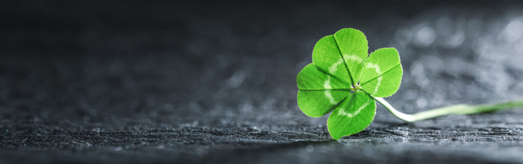 Creating Luck Can You Create Your Own Luck in Business? - Texcel
