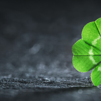 Can you create your own luck in business