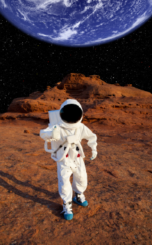 Newsletters | Texcel